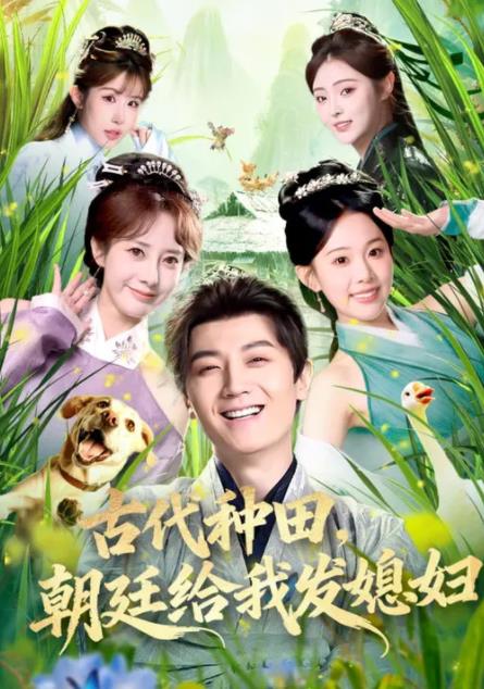 古代种田，朝廷给我发媳妇