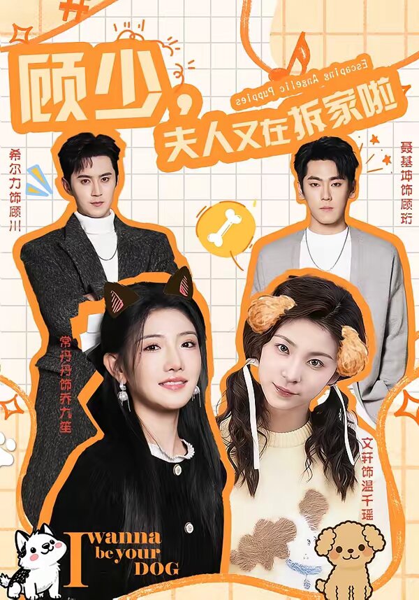 顾少，夫人又在拆家啦