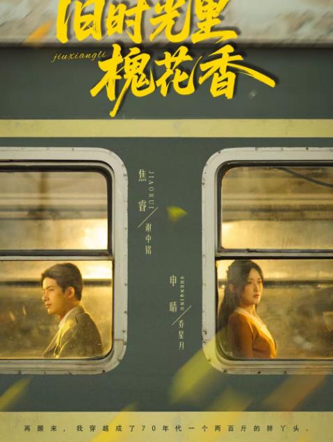 旧时光里槐花香