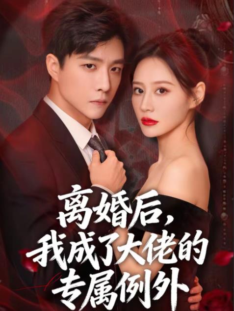 离婚后，我成了大佬的专属例外