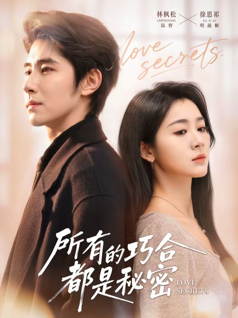 所有的巧合都是秘密＆陆总夫人她只想离婚