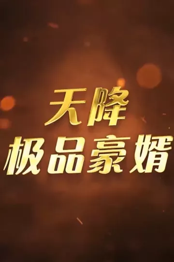天降极品豪婿