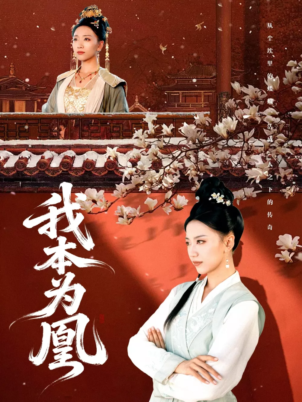 我本为凰