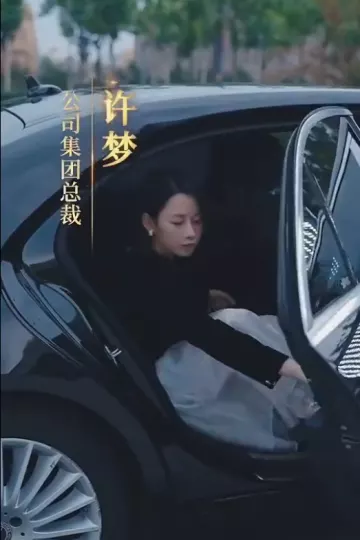 女老板的复仇