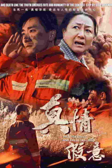 真情假意