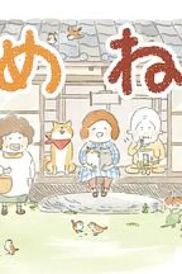 豆豆猫