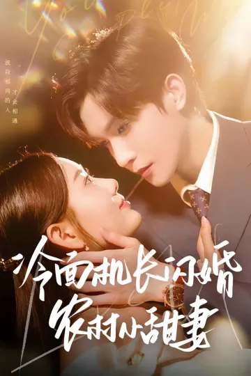 冷面机长闪婚农村小甜妻
