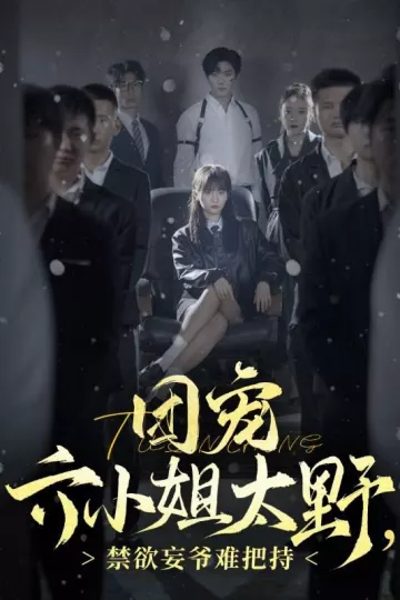 团宠六小姐太野，禁欲妄爷难把持