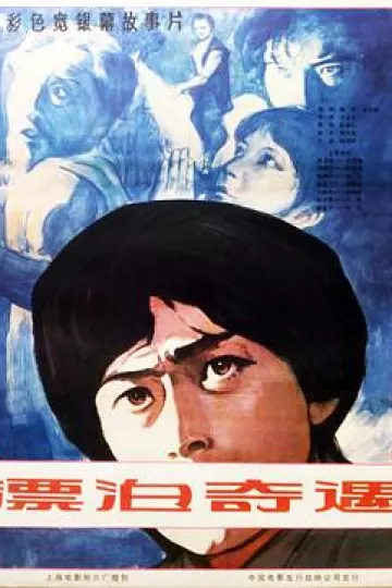 漂泊奇遇[电影解说]