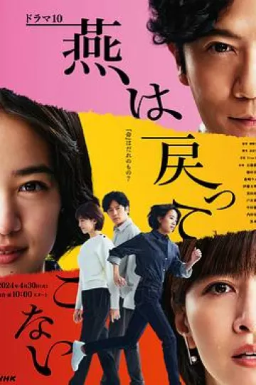 燕子不再归来