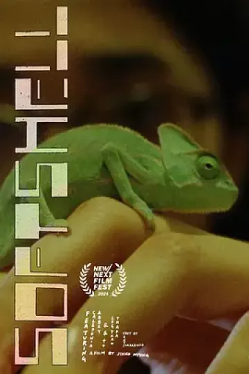 软壳
