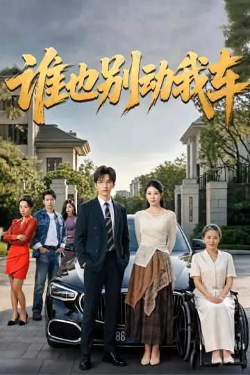 谁也别动我车