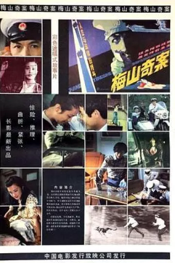 梅山奇案[电影解说]