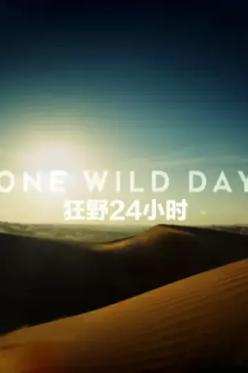 野性24小时第一季