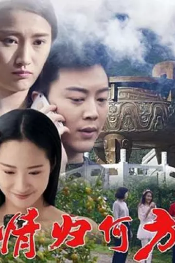 情归何方