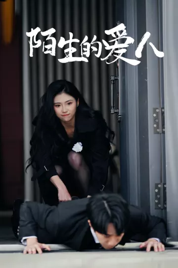 陌生的爱人