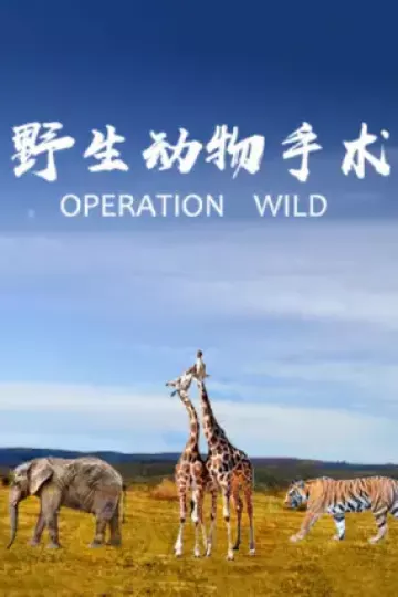 野生动物手术