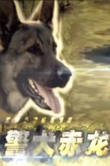 警犬赤龙2012