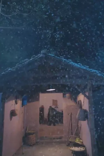 春雪落无声