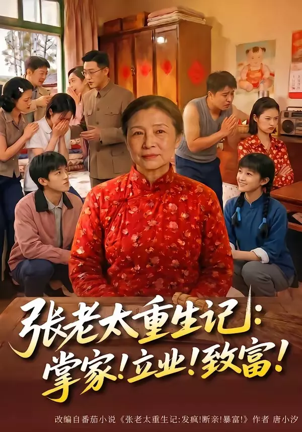 张老太重生记：掌家！立业！致富！