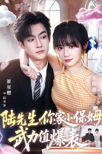 陆先生，你家小保姆武力值爆表
