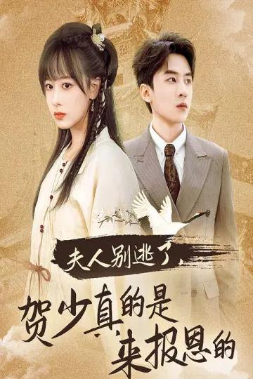 夫人别逃了贺少真的是来报恩的