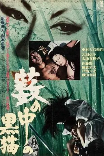 黑猫[电影解说]