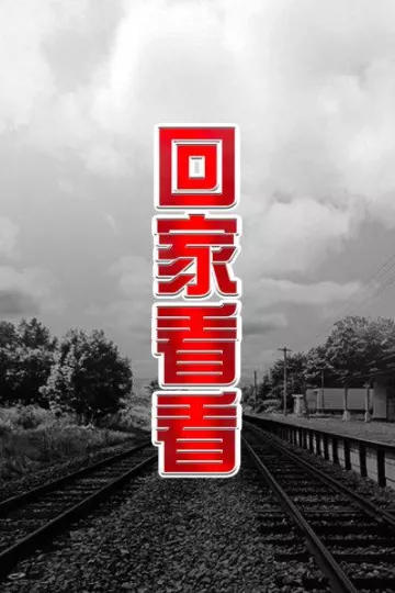 回家看看