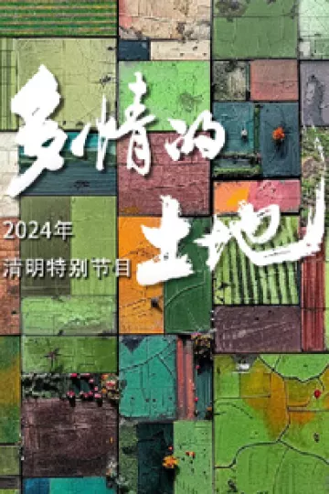 2024多情的土地