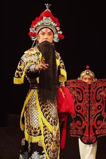 袁崇焕2009