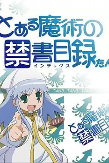 魔法禁书目录 茵蒂克丝炭