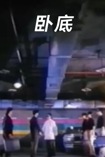 卧底1991