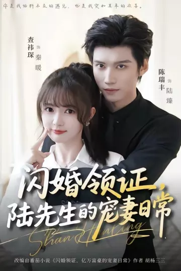 闪婚领证，陆先生的宠妻日常