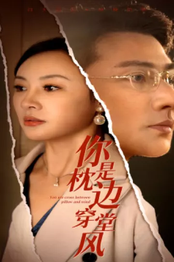 你是枕边穿堂风