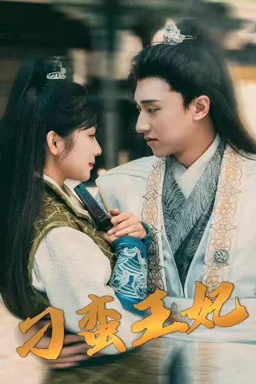 刁蛮王妃