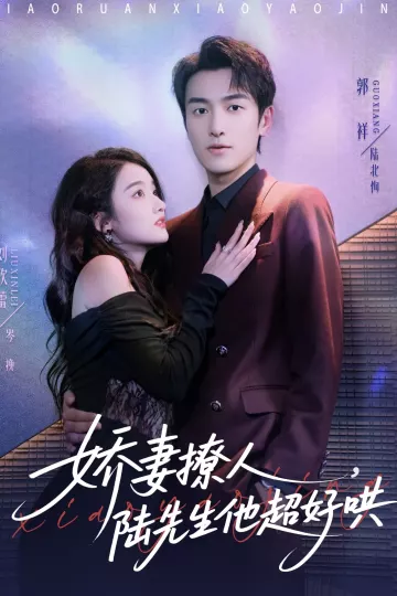 娇妻撩人，陆先生他超好哄