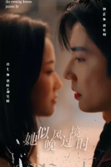 她似晚风过境时