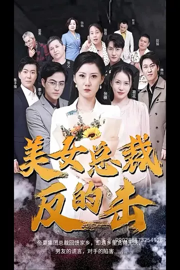 美女总裁的反击