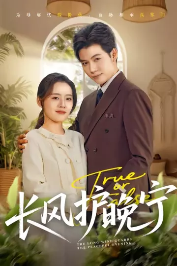 长风护晚宁