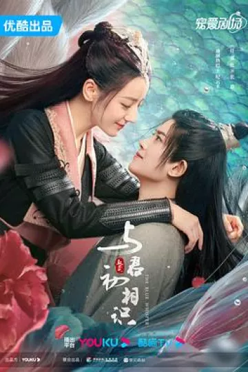 与君初相识·恰似故人归[电影解说]