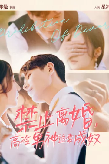 禁止离婚，高冷男神追妻成奴