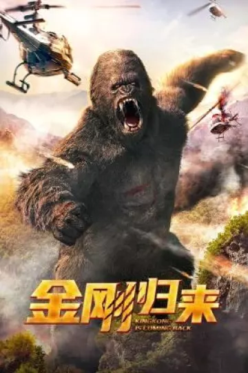 金刚归来