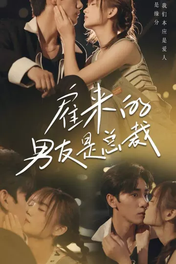 雇来的男友是总裁