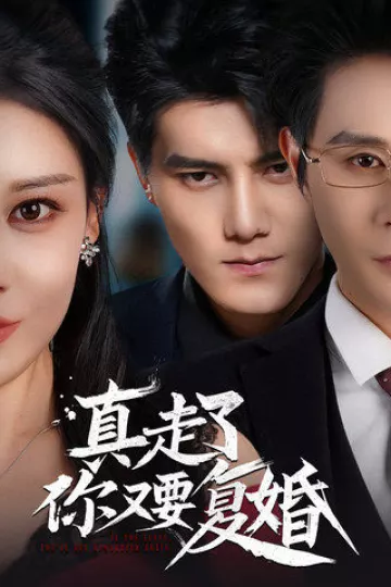 真走了你又要复婚