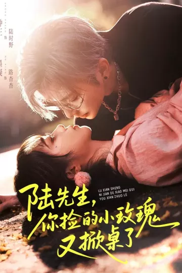 陆先生,你捡的小玫瑰又掀桌了
