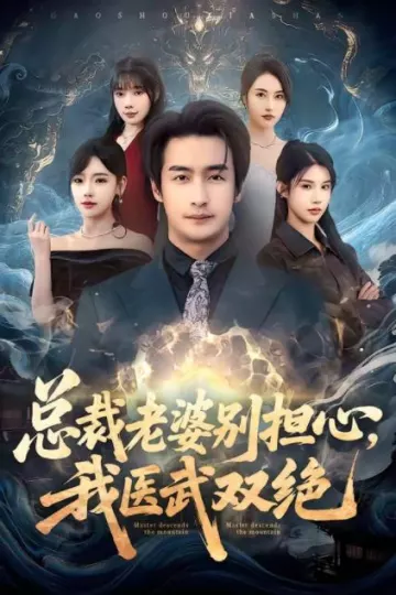 总裁老婆别担心，我医武双绝