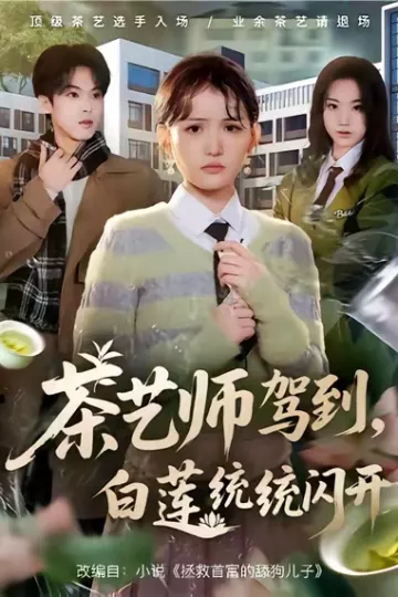 茶艺师驾到白莲统统闪开