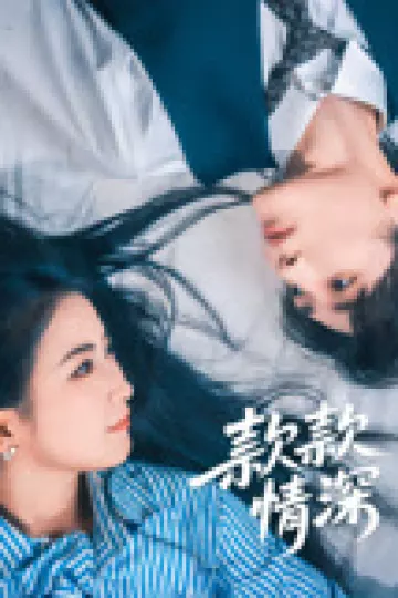 款款情深