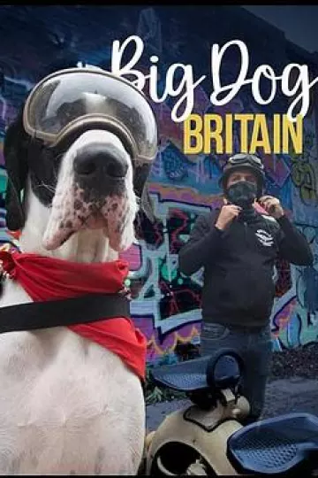 英伦巨犬粤语