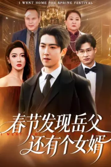 春节发现岳父还有个女婿